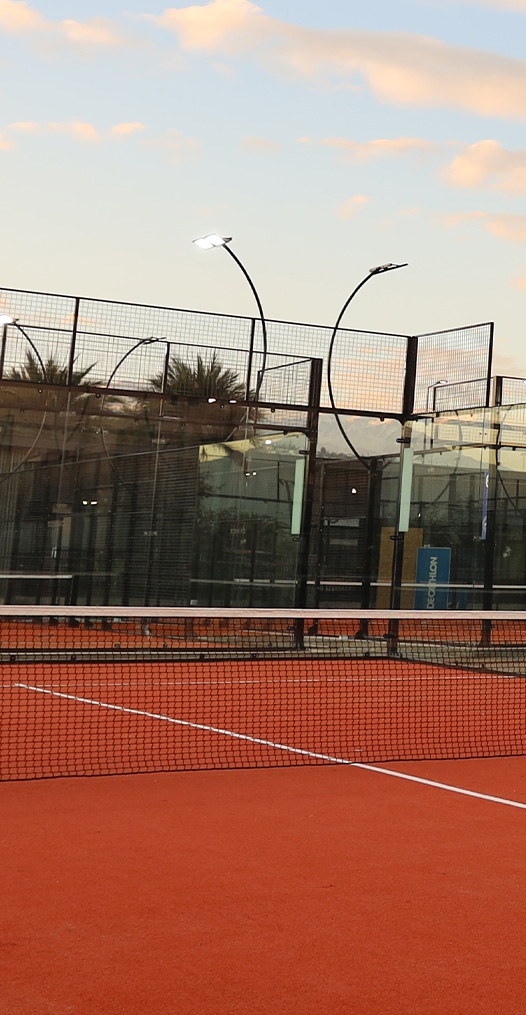 cesped o grama turfgrass padel